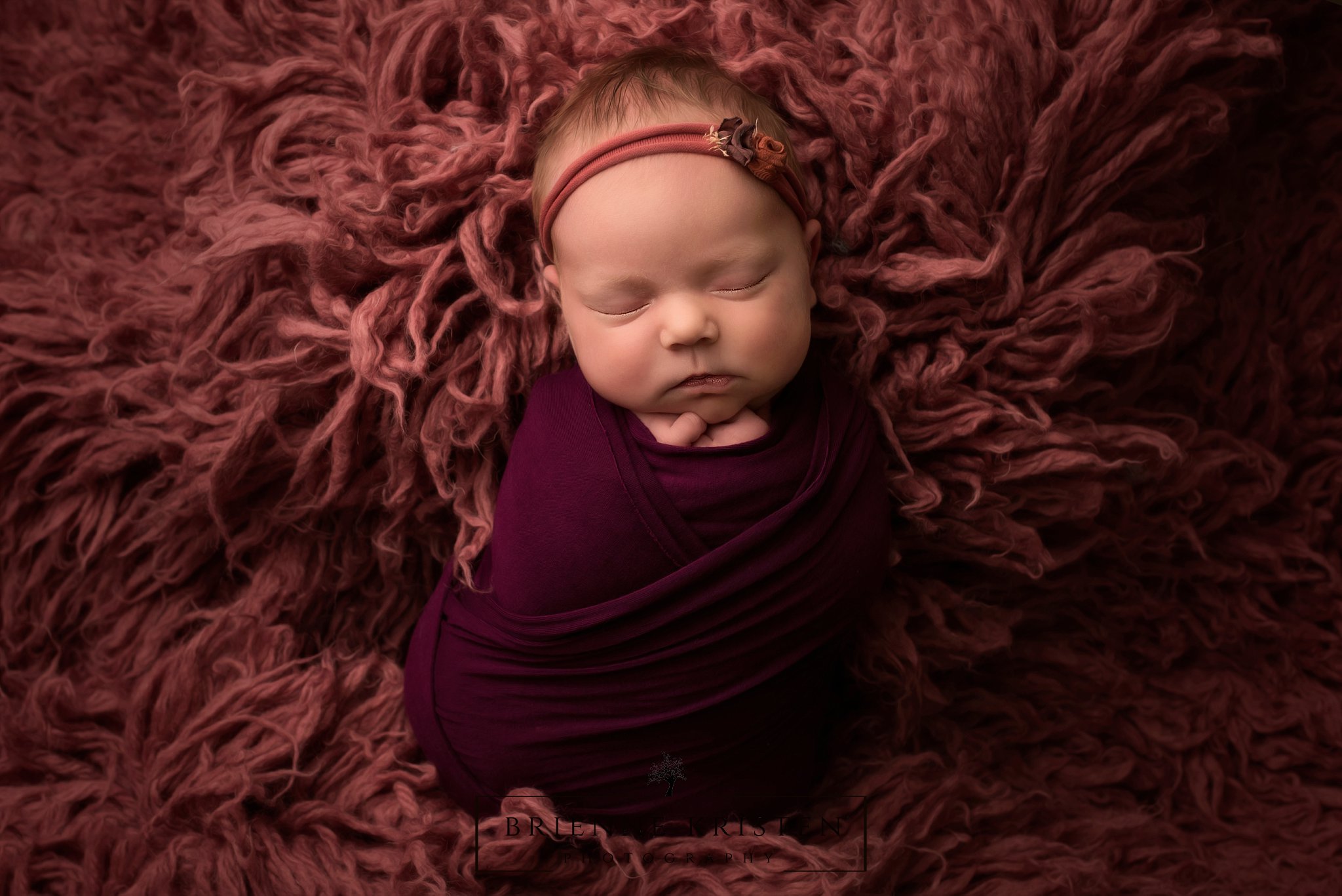 family mini session newborn studio  Photography