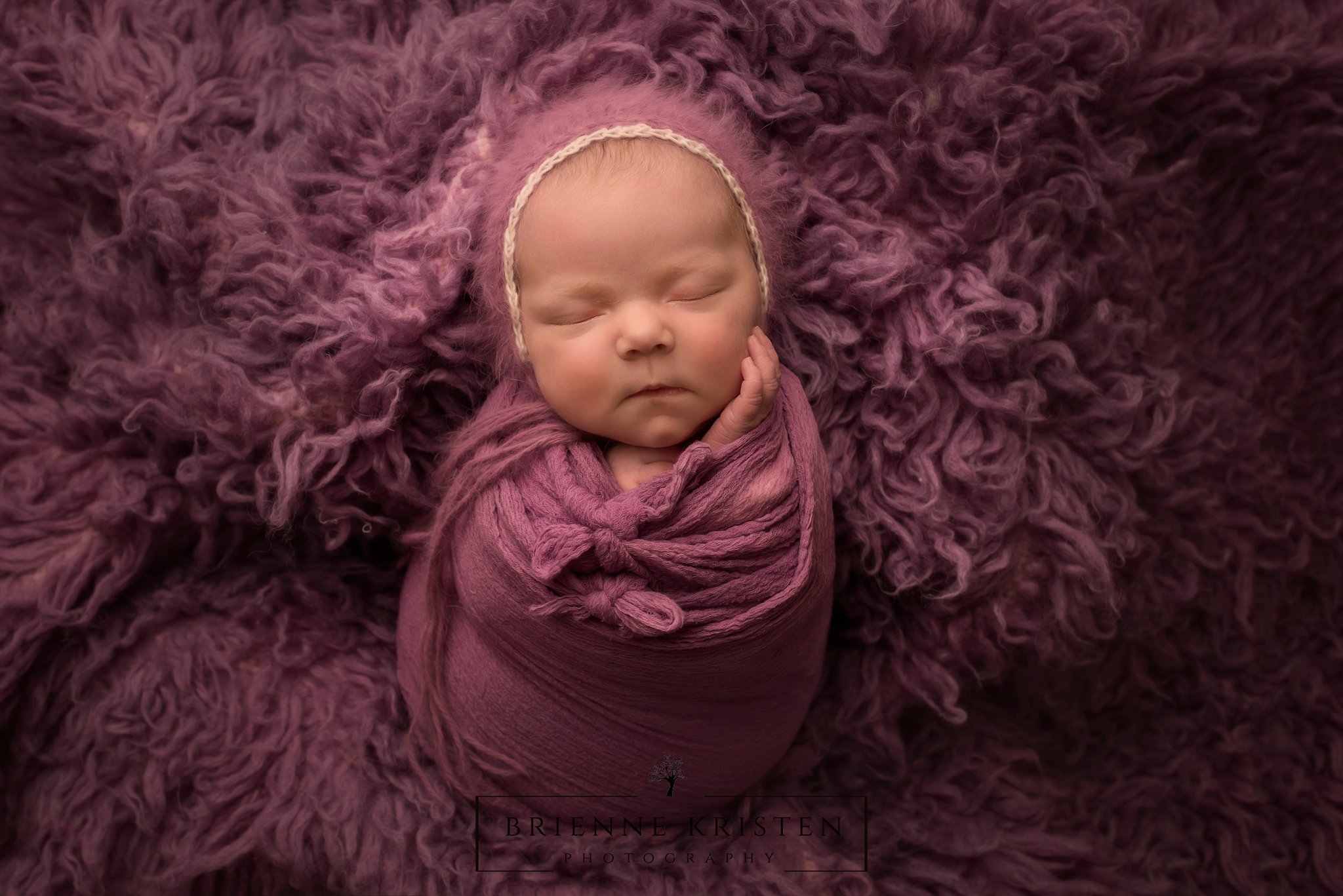 family mini session newborn studio  Photography