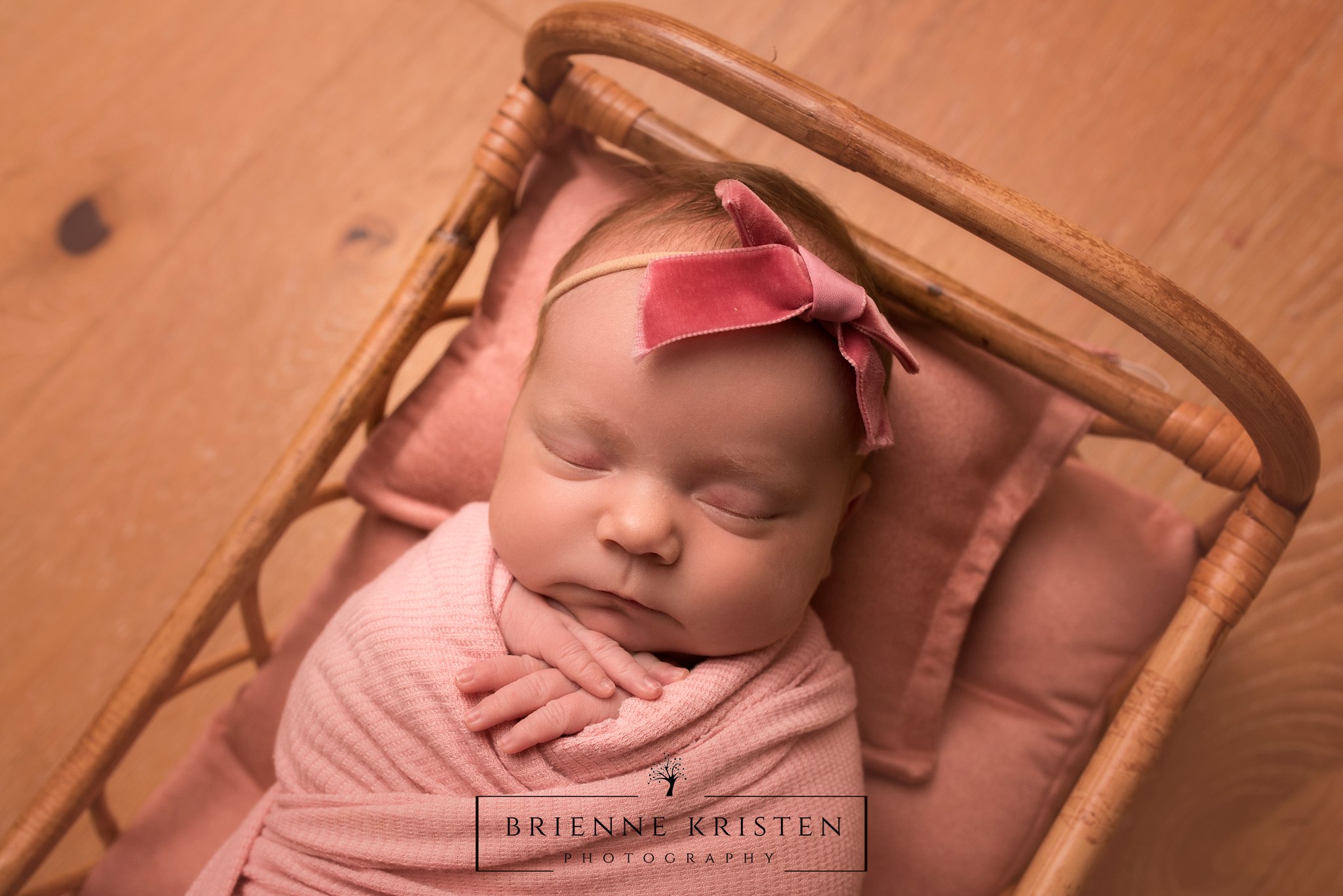 family mini session newborn studio  Photography